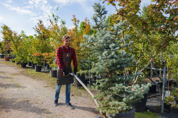 Best Tree Trimming and Pruning  in Florence, CO